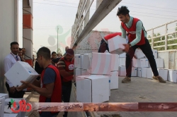 منظمة داري توزع 600 صندوق صحي على النازحين في طريق كربلاء نجف
